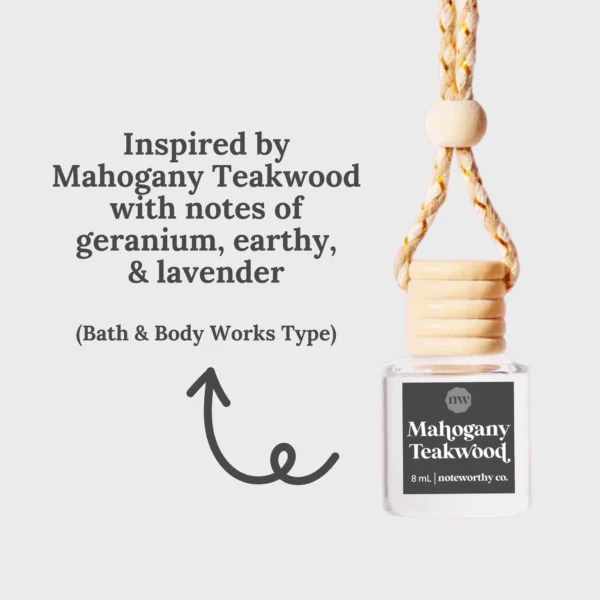 noteworthy car diffuser
